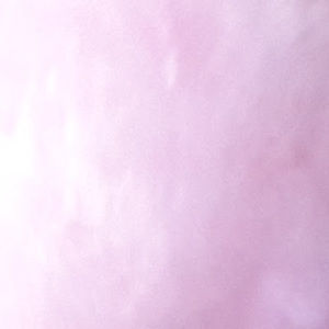 Meet your Posher, Regina